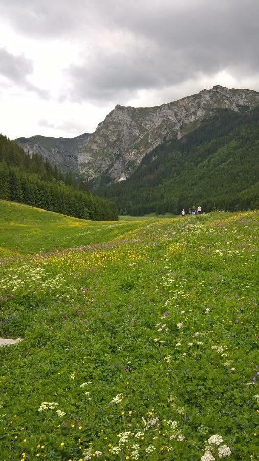 Apartament 33.13.A. Zakopane Buitenkant foto