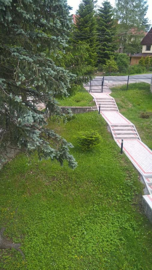 Apartament 33.13.A. Zakopane Buitenkant foto