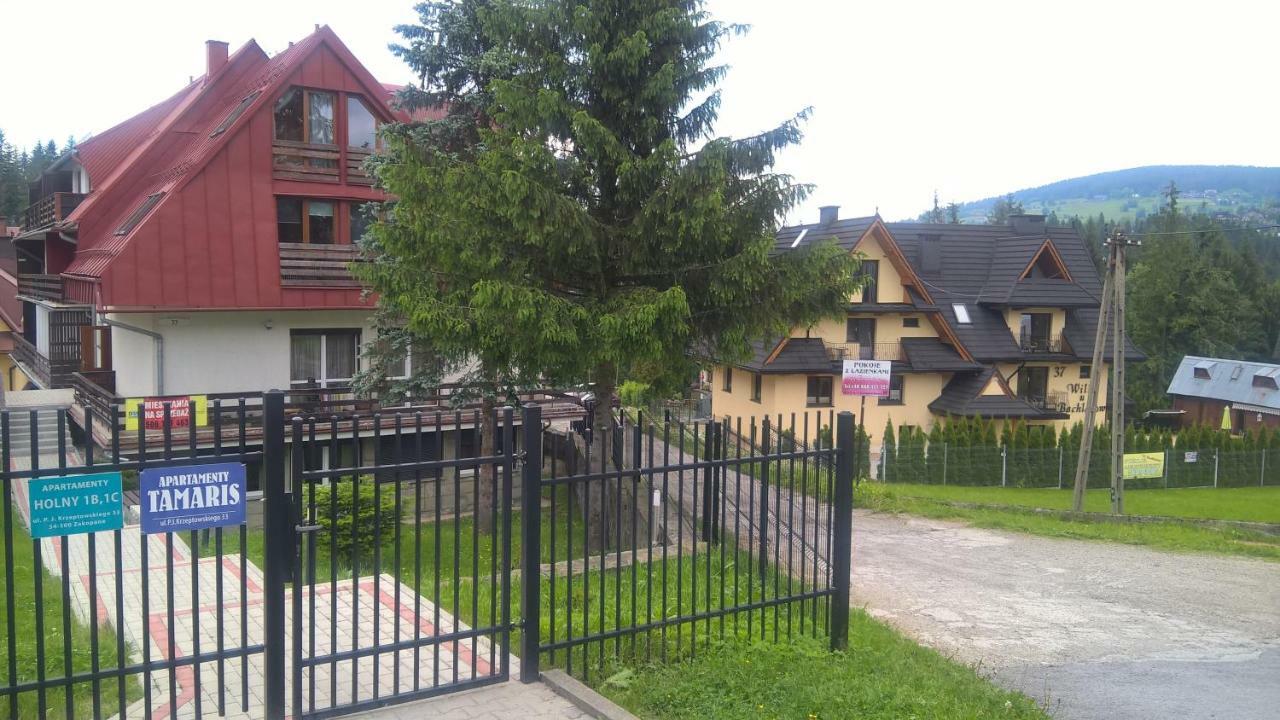 Apartament 33.13.A. Zakopane Buitenkant foto
